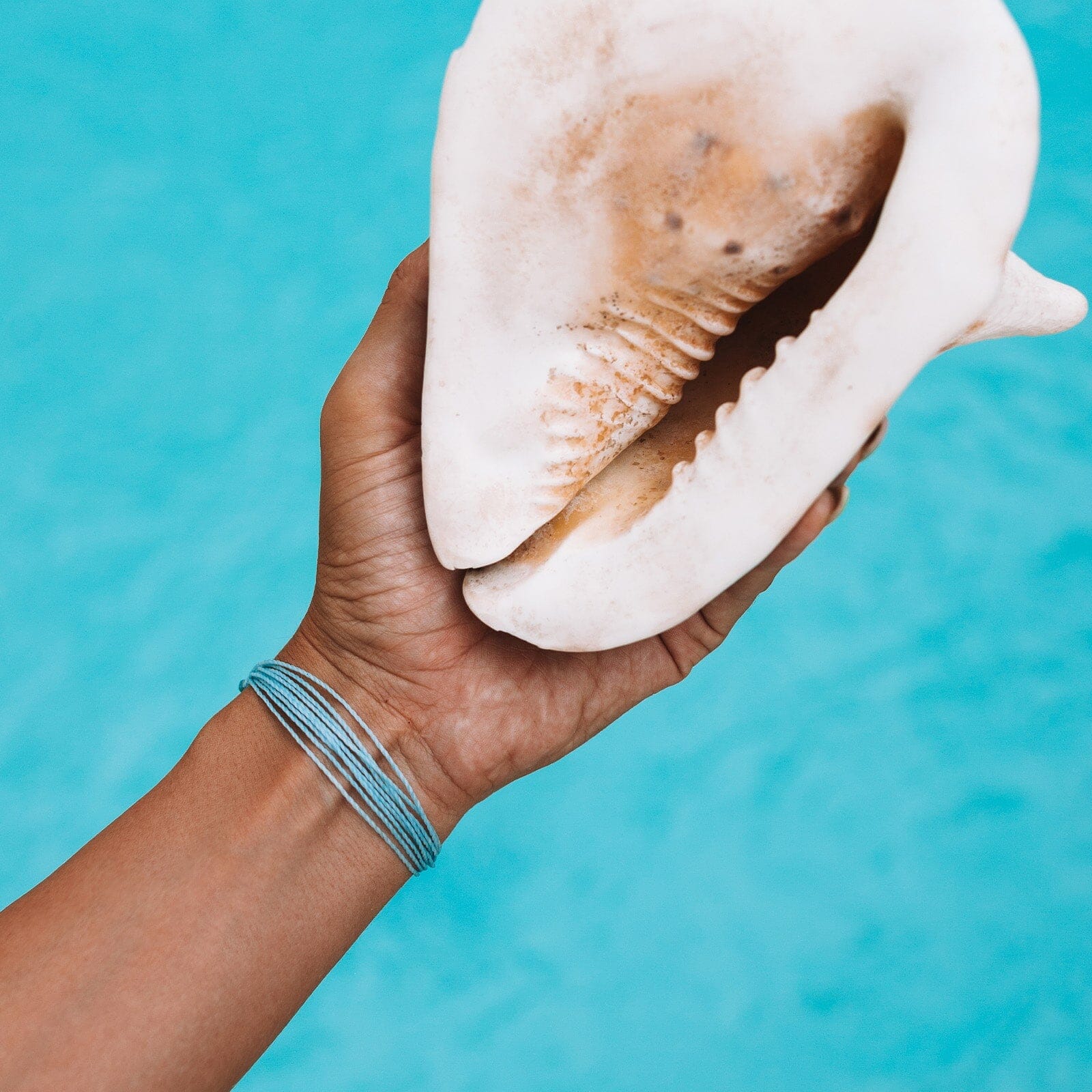 Pura Vida Original Bracelet - Pacific Blue